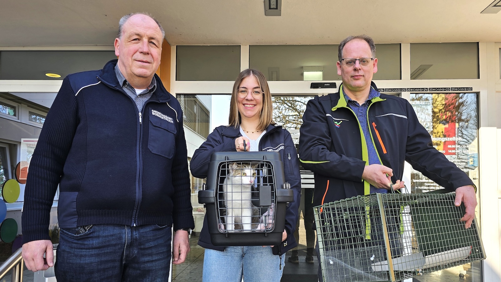 Exponentielles Wachstum der Katzenpopulation: Städte rufen zur Verantwortung bei Freigängerkatzen auf