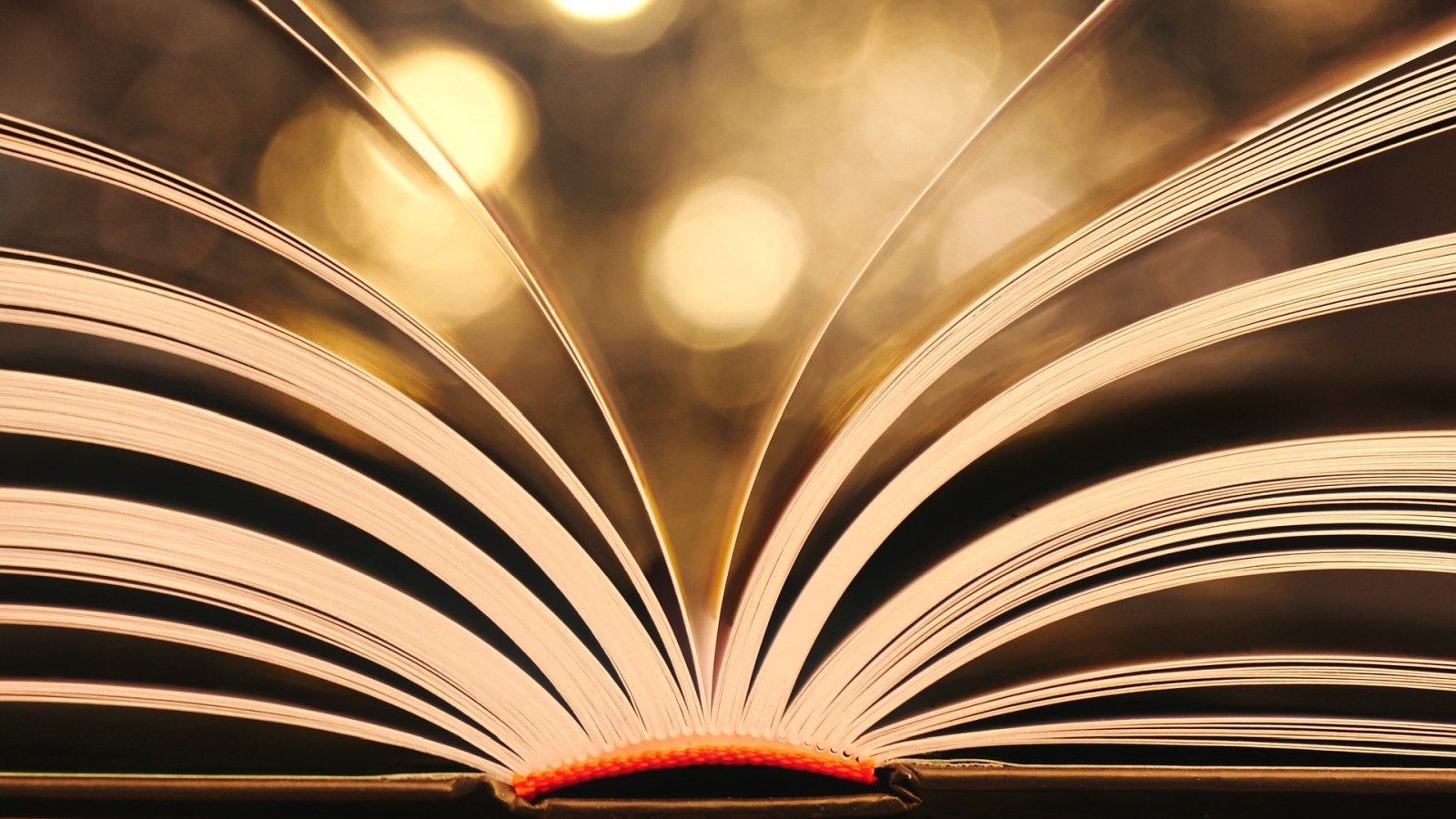 Jürgen Reitemeier und Wolfram Tewes bei den Germeter Begegnungen