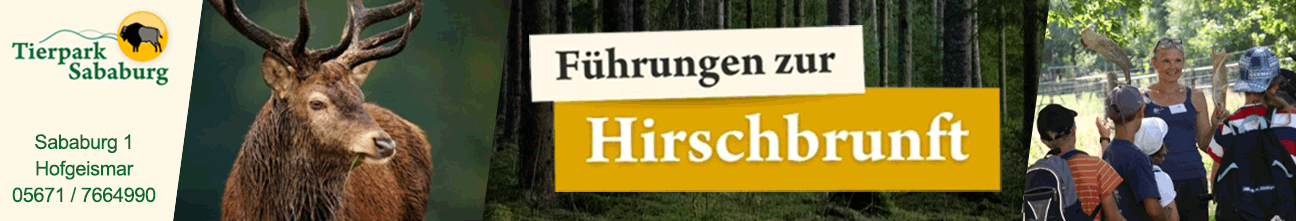images/werbung/superbanner/2023_09_07_sababurg_superbanner_hirschbrunft_1296x221px.gif